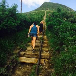 Meet your Posher, Irene